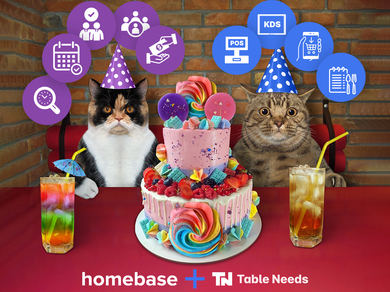 Two cats celebrating the Table Needs and Homebase joining forces. The are at a restaurant with a big cake and fancy drinks.